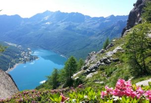 Cerco collaborazione per gestione rifugio