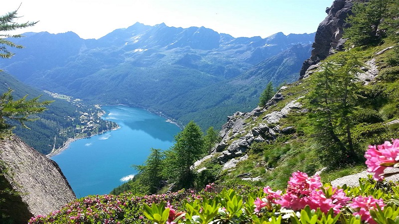 Cerco collaborazione per gestione rifugio