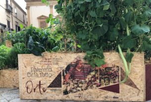 Orto Capovolto: a Palermo al posto del degrado nascono orti urbani
