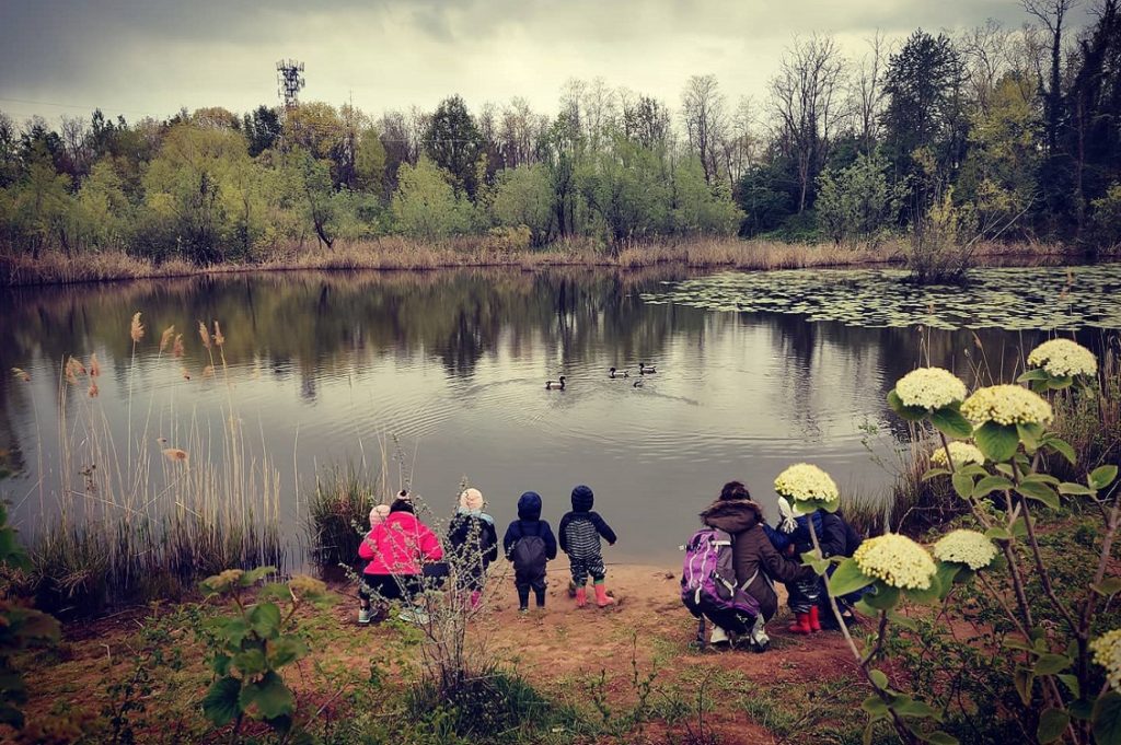 scuola mare bosco