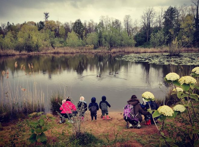 scuola mare bosco