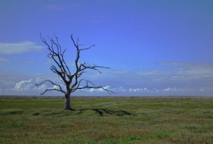 Oggi è la Giornata Mondiale della Terra… Estiqaatsi?