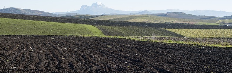 Cooperativa Agricola Valdibella