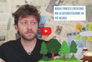 Riforestiamo il mondo? – Io Non Mi Rassegno #367