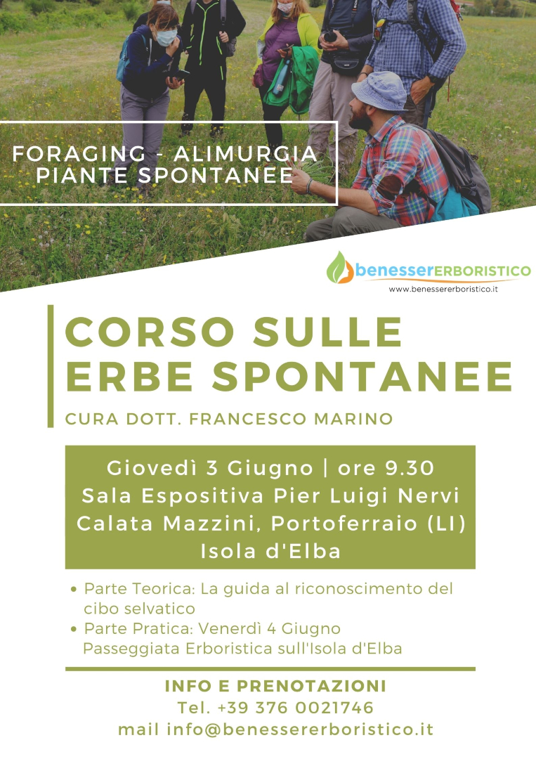 Offro corso sulle Erbe Spontanee