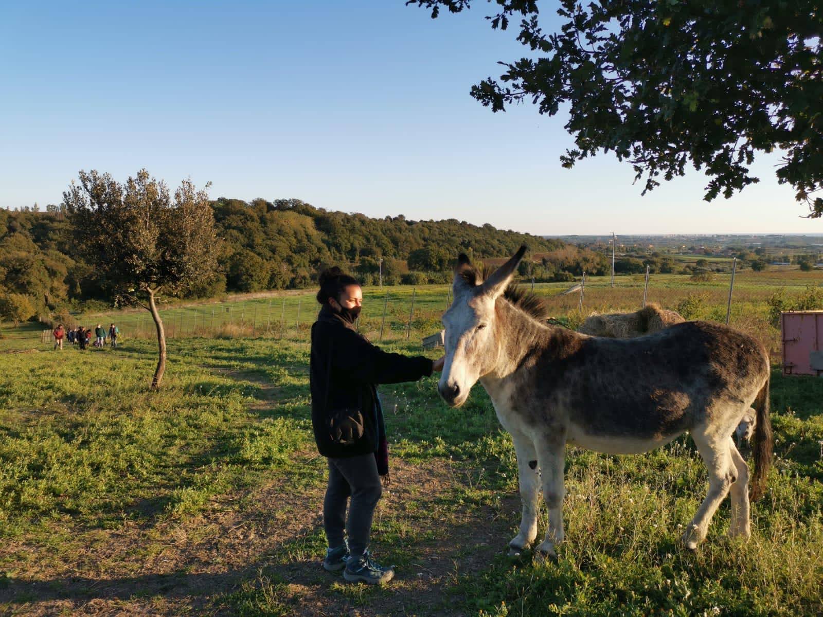 Ci piacerebbe venire a trovarti e aiutarti con il orto