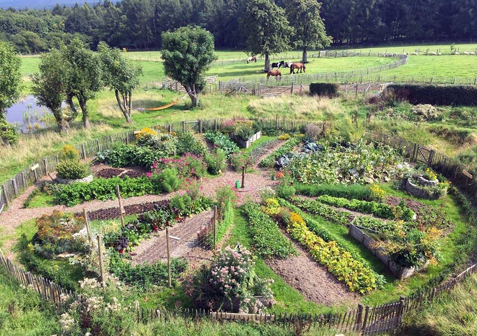 Cerco lavoro in agriturismi o aziende biologiche in Abruzzo