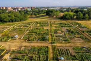 Orti, rigenerazione urbana e cibo recuperato per una Torino etica e verde