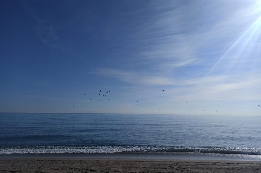 calabria che cambia 1