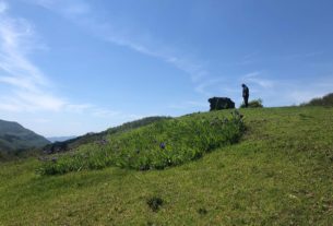 Una cooperativa di comunità nata dal basso per dare nuova vita alla montagna