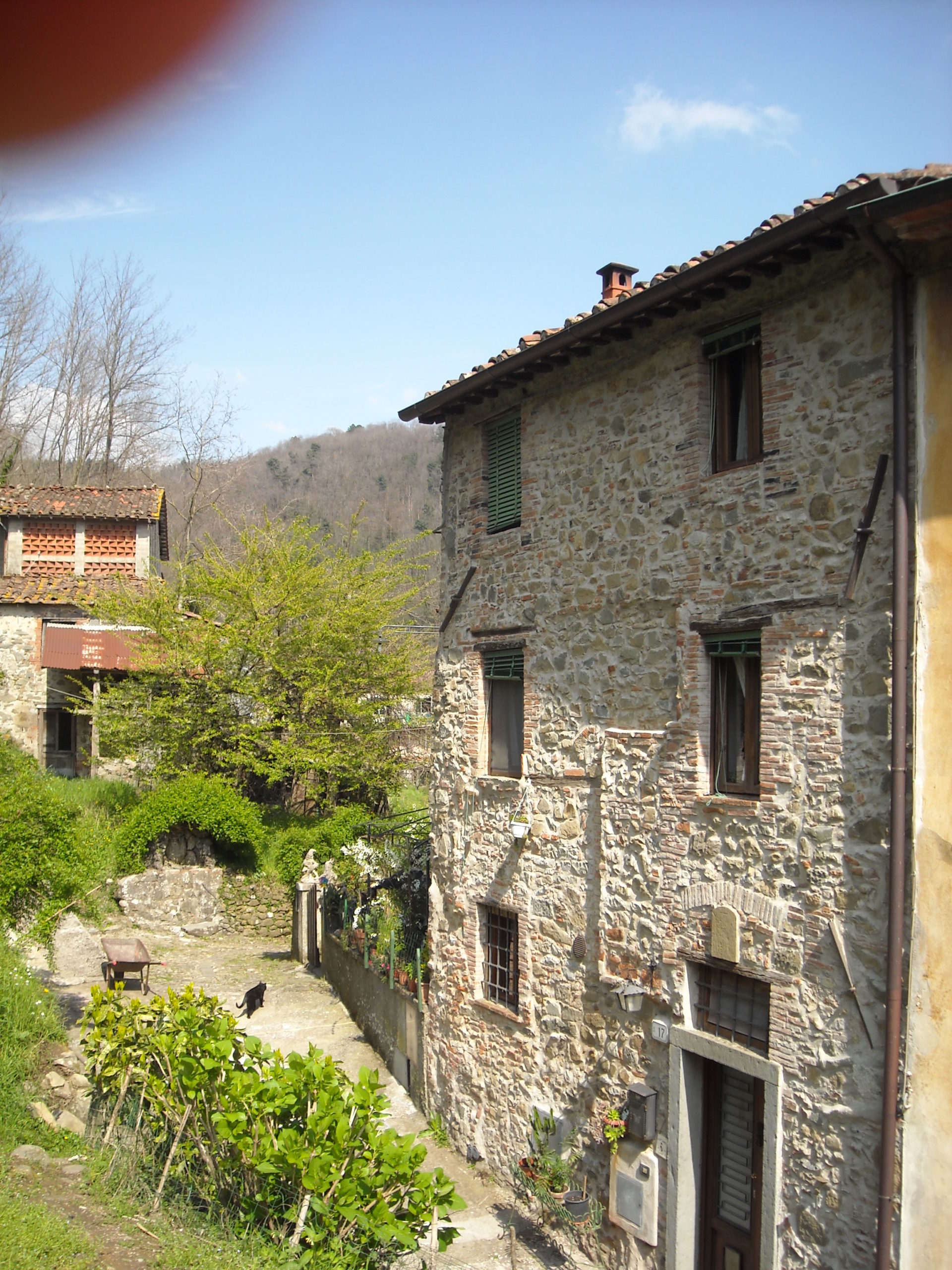 Cerco coinquilino per casa di paese