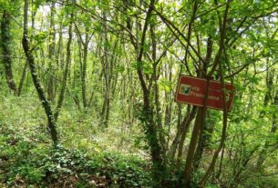 Fondo Forestale Italiano: compriamo boschi per salvarli dall’abbattimento