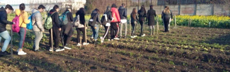 Comunità Slow Food dell’Orto Condiviso Vesuviano