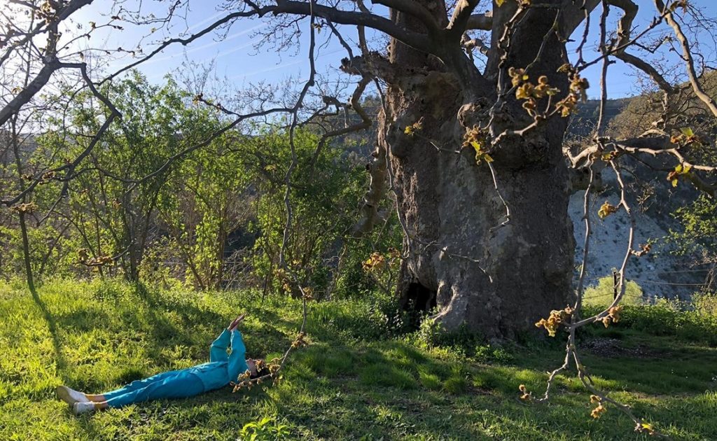 un albero mi ha chiesto di danzare 2