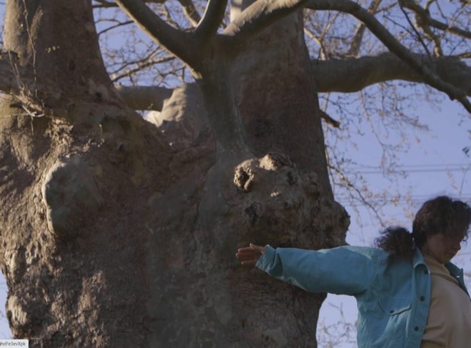 un albero mi ha chiesto di danzare