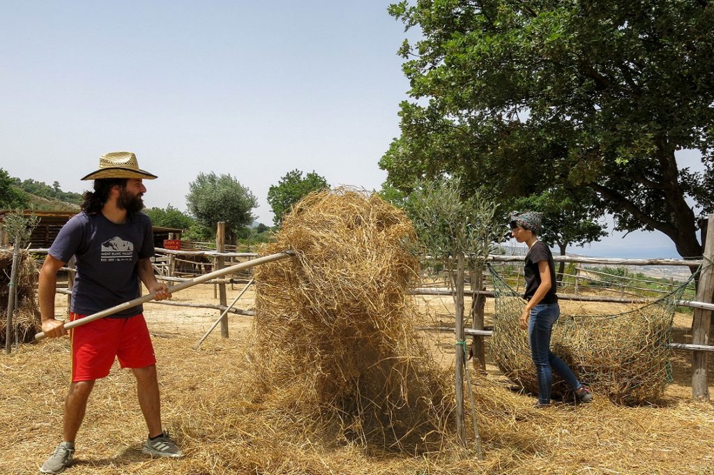 Avamposto Agricolo Autonomo 1