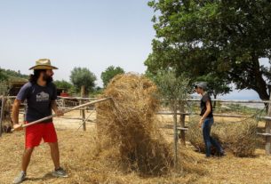 Avamposto Agricolo Autonomo, lo spazio di lotta e vita contadina creato da due giovani