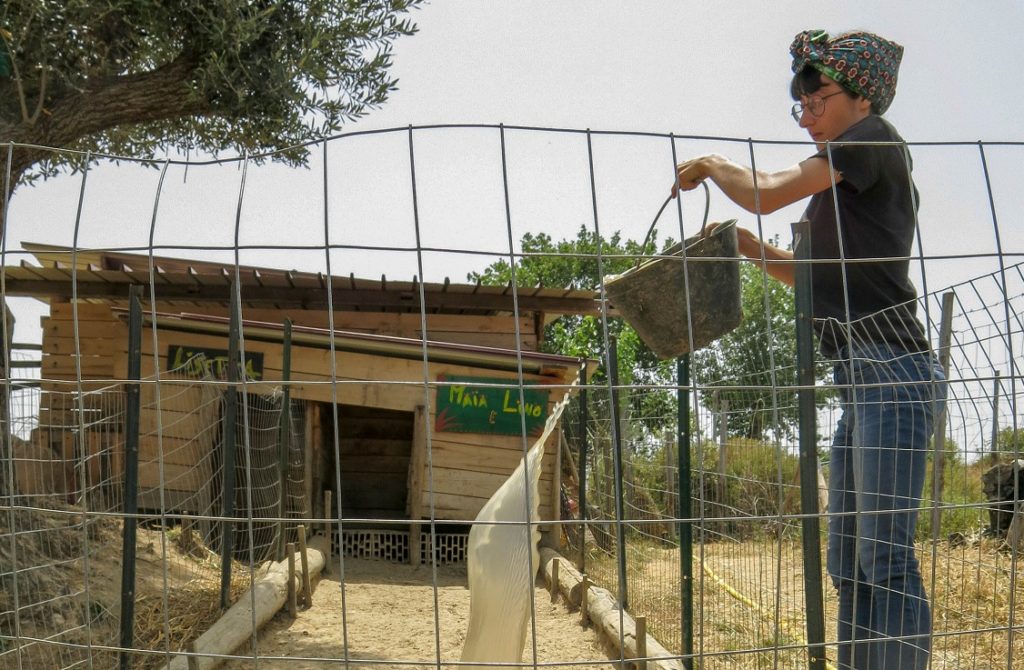 Avamposto Agricolo Autonomo 2