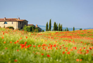 Cerco collaboratori progetto azienda agricola-agriturismo-cohousing