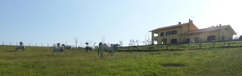 Azienda Agricola Forestale Porcineta A.R.L.