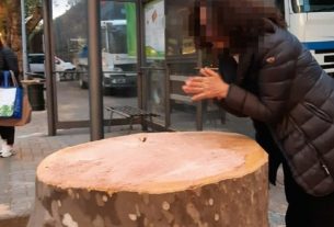 Una legge per consentire ai cittadini di fermare la strage di alberi