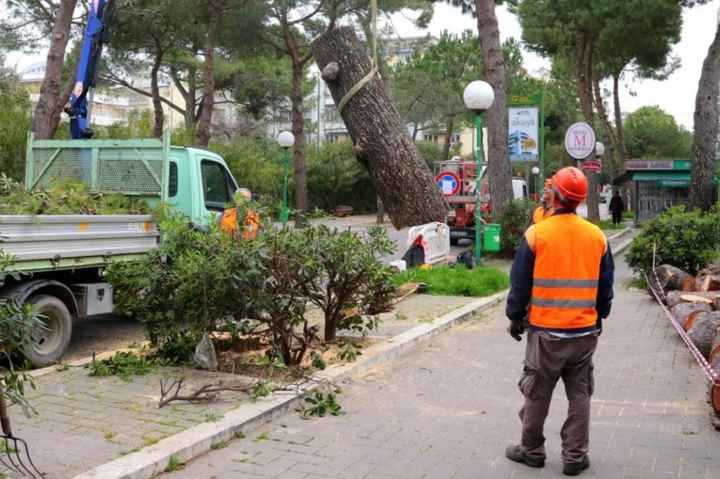 strage di alberi pescara