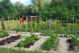 Nasce il Badante agricolo di comunità che aiuta le persone anziane nella cura dell’orto