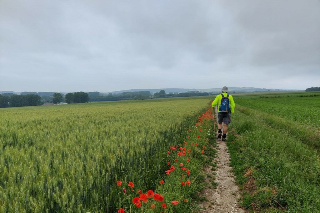 radio francigena 1