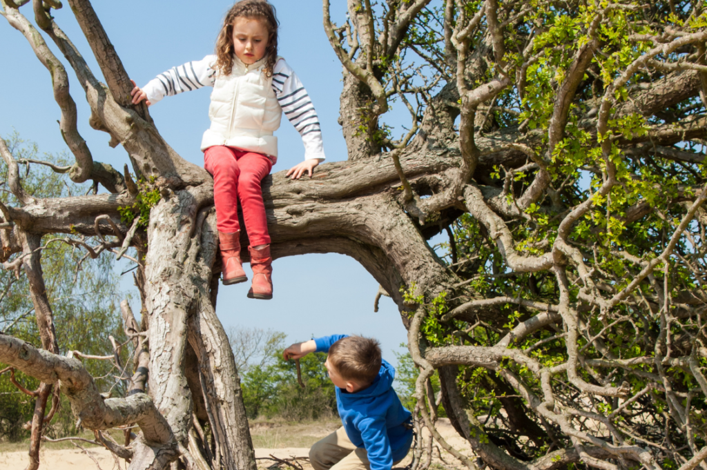 educazione in natura