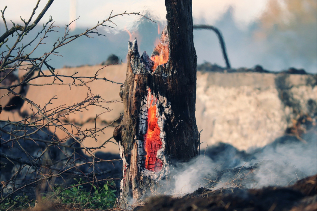 incendi sicialia