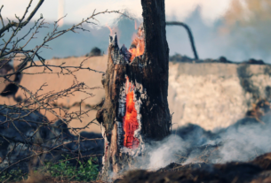 Gli incendi di domani vanno spenti oggi: ecco perché è necessario puntare sulla prevenzione