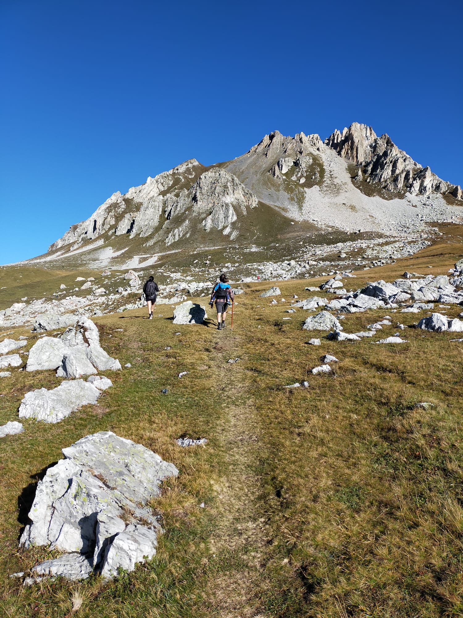 Cerco rifugio da gestire