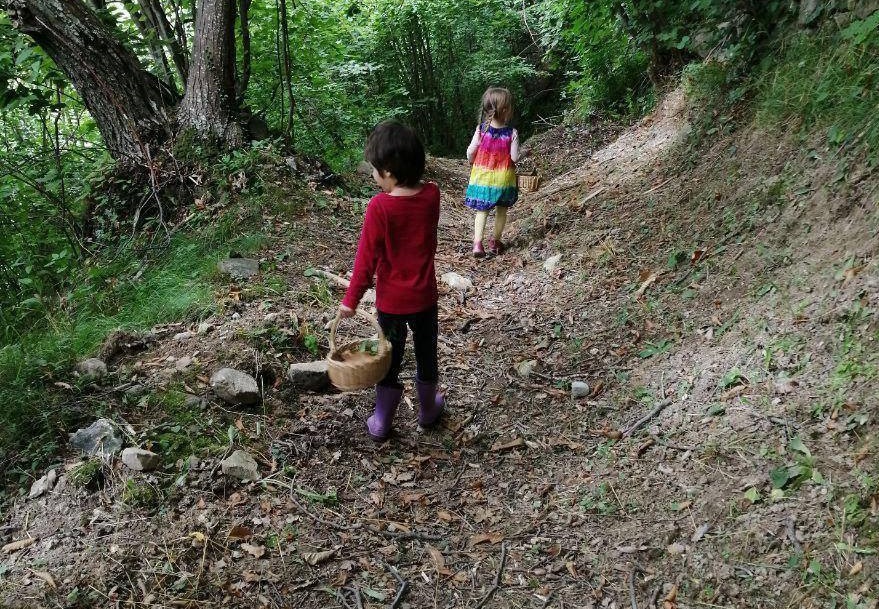 Se credi nell’educazione in natura, chiamaci!