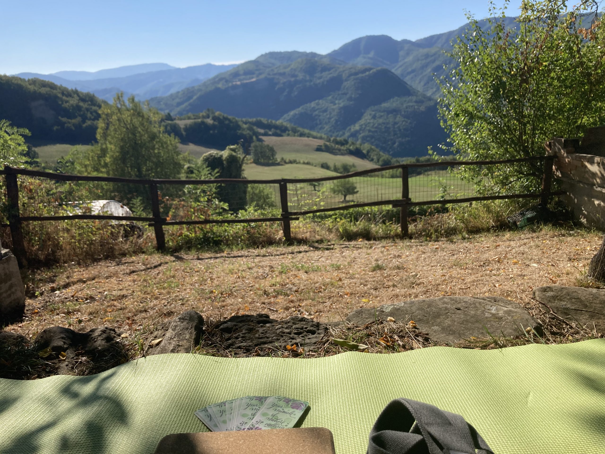 Cerchiamo struttura da poter gestire nelle foreste casentinesi