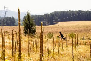 Fra borghi antichi e natura incontaminata, lungo la Ciclovia dei Parchi della Calabria