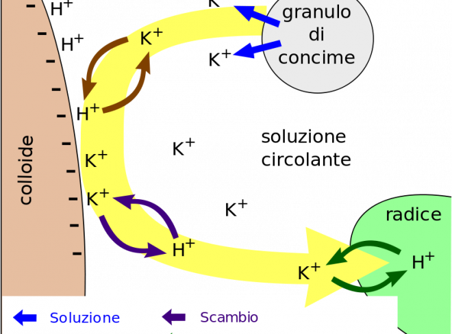 italiachecambia