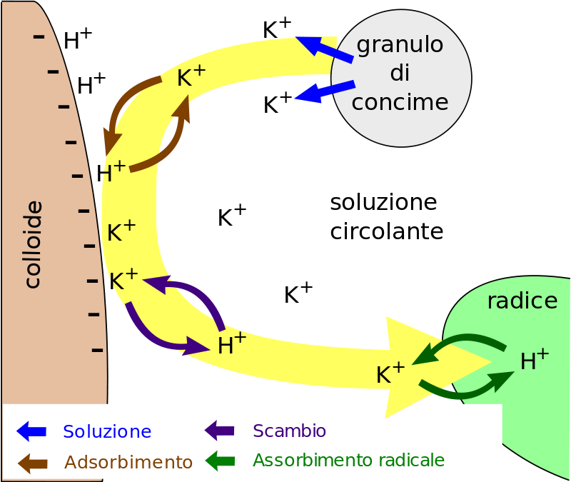 Offro scambio di conoscenze con chimico/a