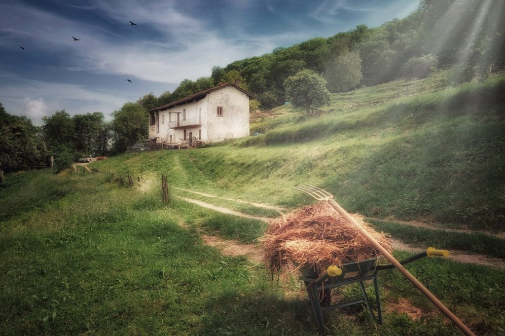 liberi sogni cascina rapello