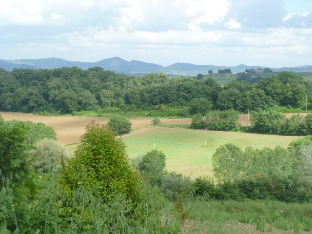 Vendesi casa colonica nelle colline tra Umbria e Toscana