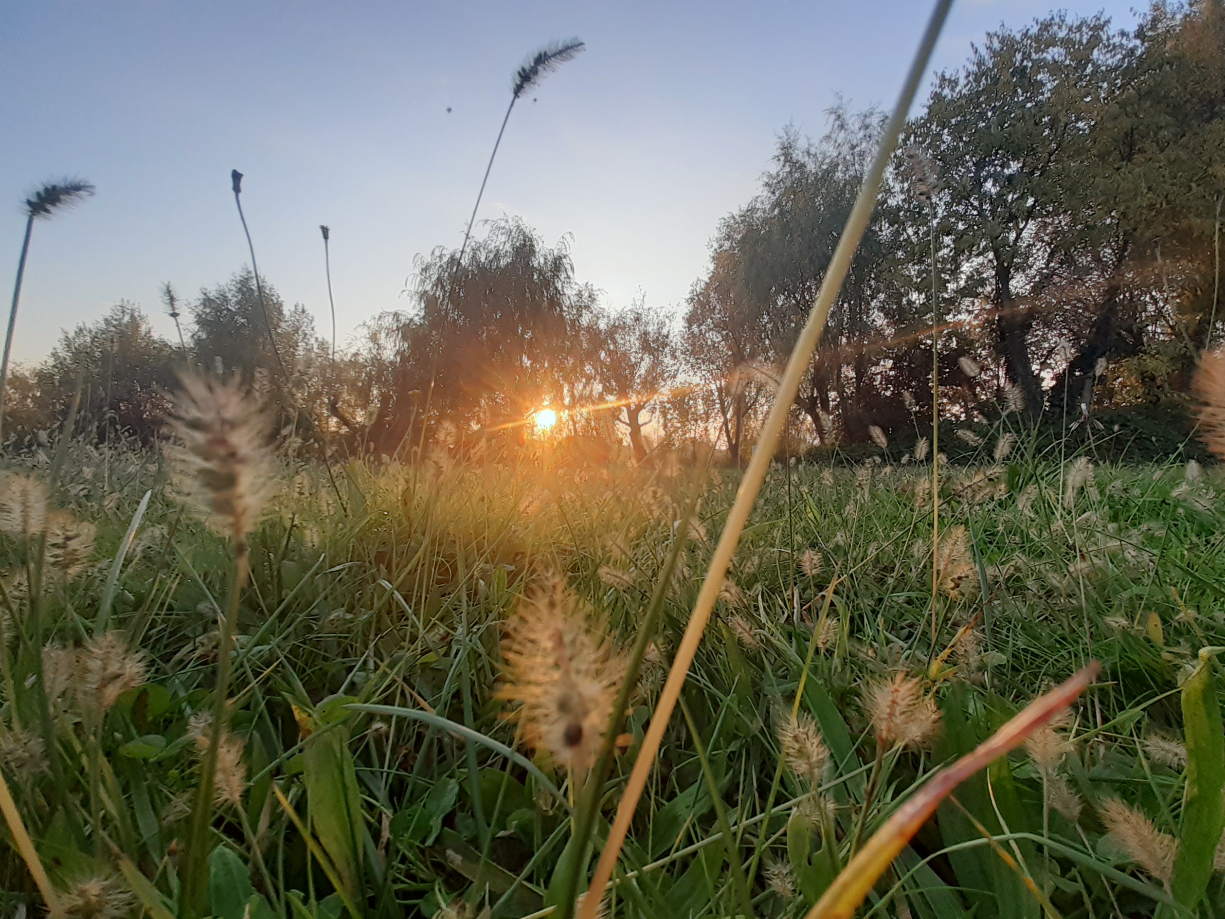 Cercasi piccolo borgo o rustici