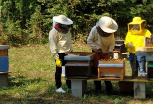 Food is the Way: le realtà del territorio “in campo” per aiutare le famiglie in difficoltà