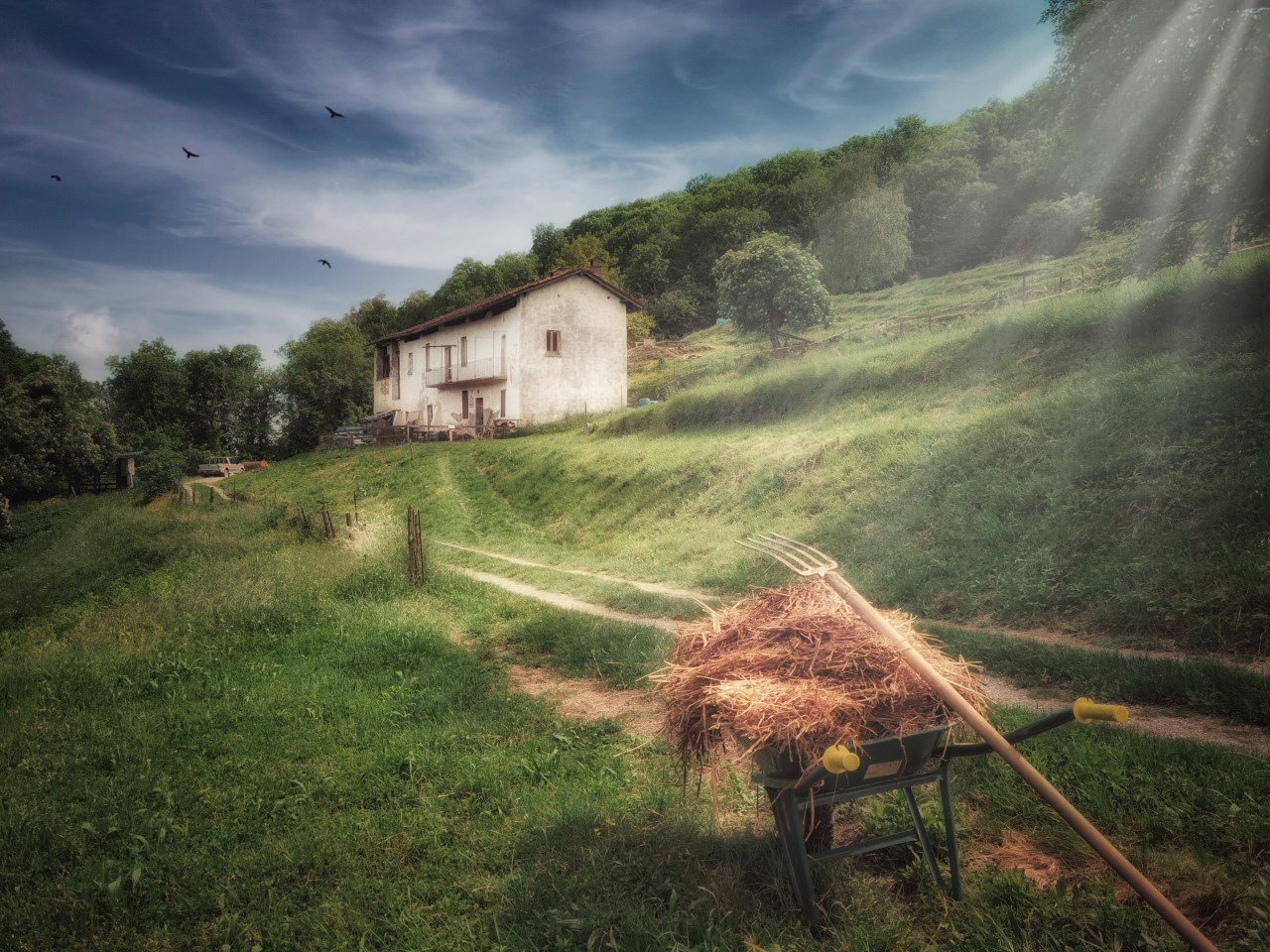 Selezioniamo persone interessate a sviluppare con noi un progetto di agricoltura sociale