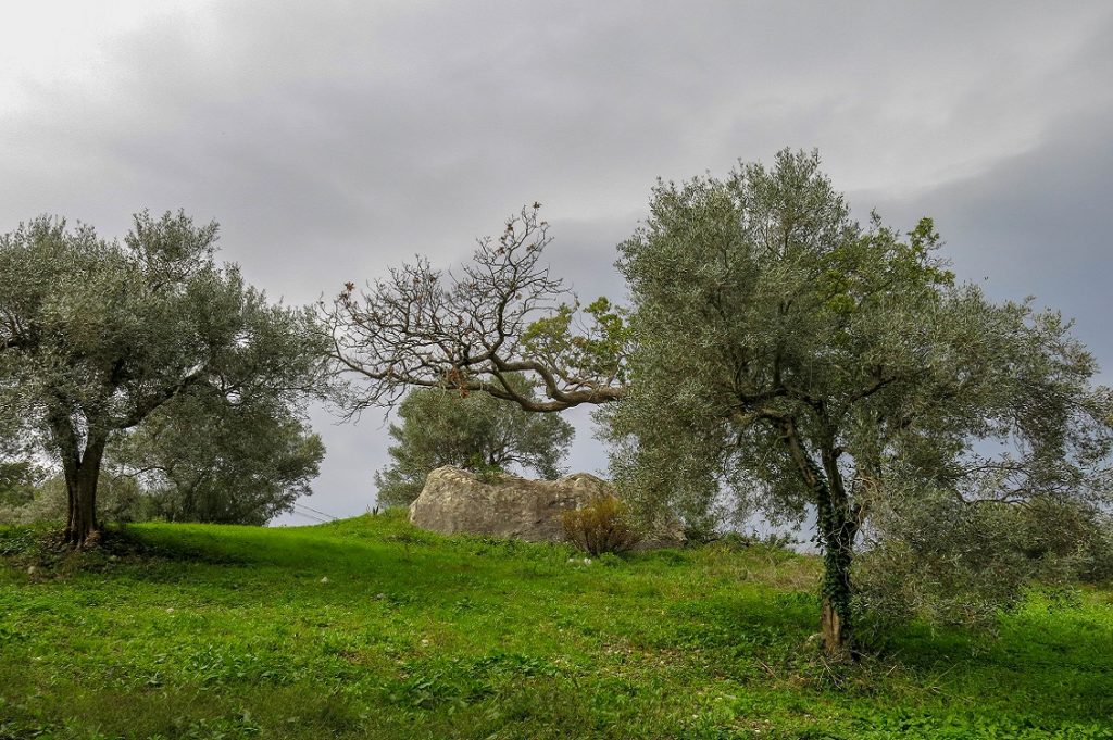 casa delle erbe 2