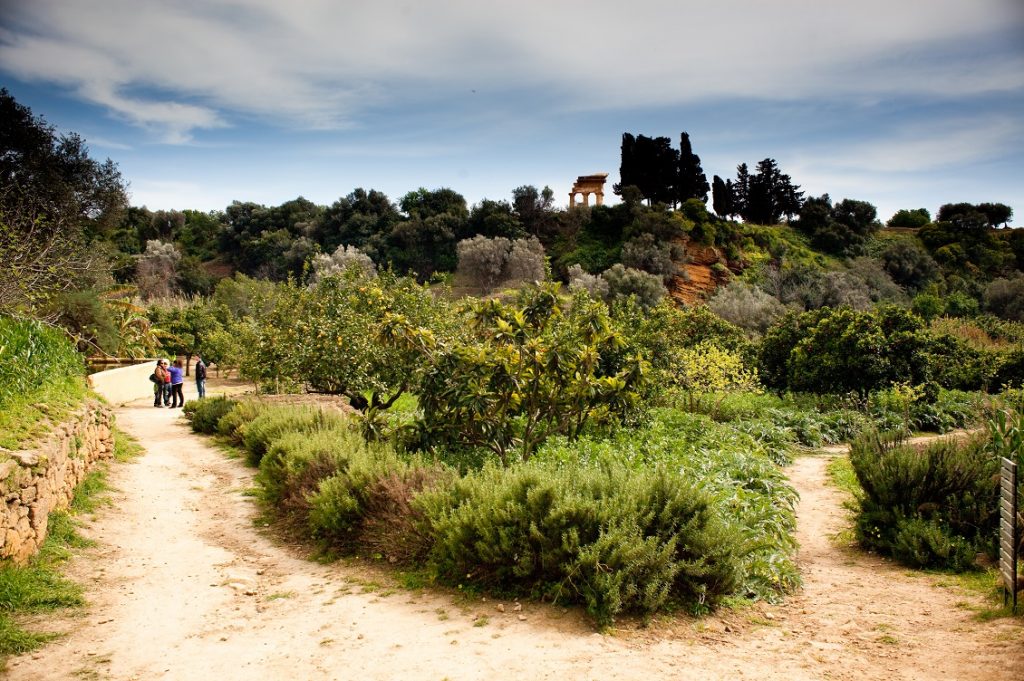 giardino della kolymbethra 2