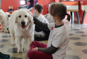 La Dog Therapy arriva tra i banchi di scuola per donare il sorriso ai bambini