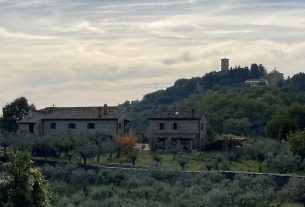 Cerco collaboratore/trice per una nuova realta’ agricola sostenibile vicino a Perugia