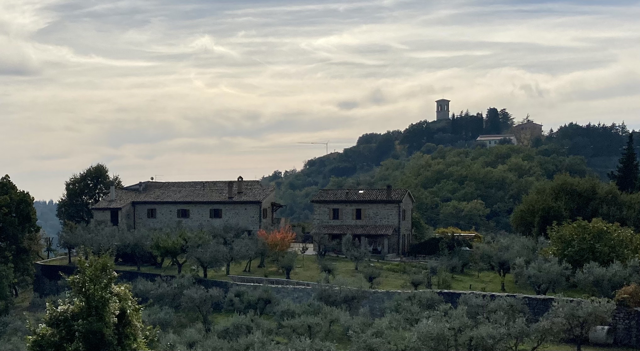 Cerco collaboratore/trice per una nuova realta’ agricola sostenibile vicino a Perugia