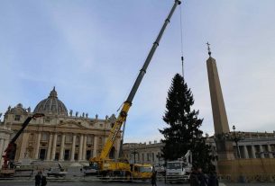 L’abete rosso sacrificato per il Natale del Vaticano sta morendo ma “parla” ancora