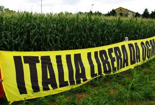 Guerra ed emergenza alimentare aprono la porta agli OGM americani in Europa?