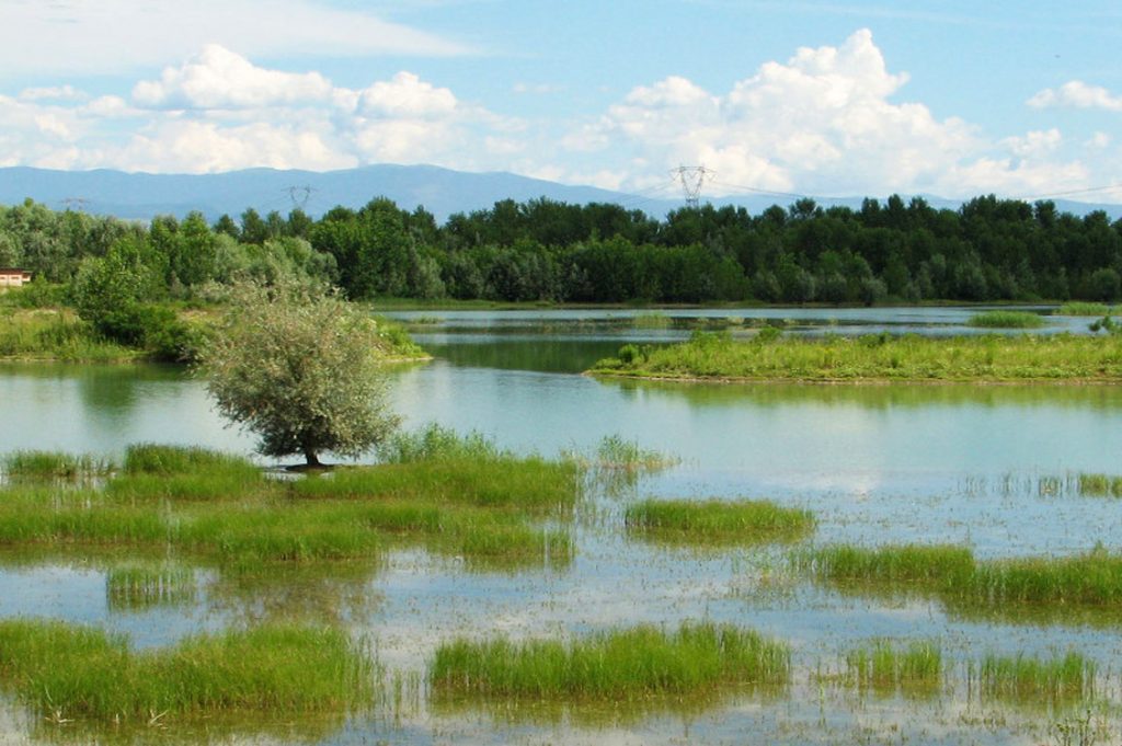 Foresta Condivisa Parco Po